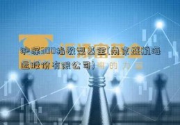 沪深300指数型基金(南京盛航海运股份有限公司)